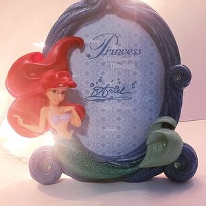 Disney Ariel Frame